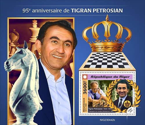2024 niger tigran - 11,